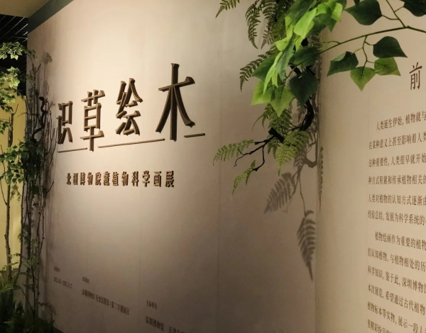 抓住暑假的尾巴，帶孩子感受博物館藝術(shù)的“光合作用”！