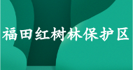 福田紅樹(shù)林保護區