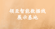 領(lǐng)亞智能數據線(xiàn)展示基地